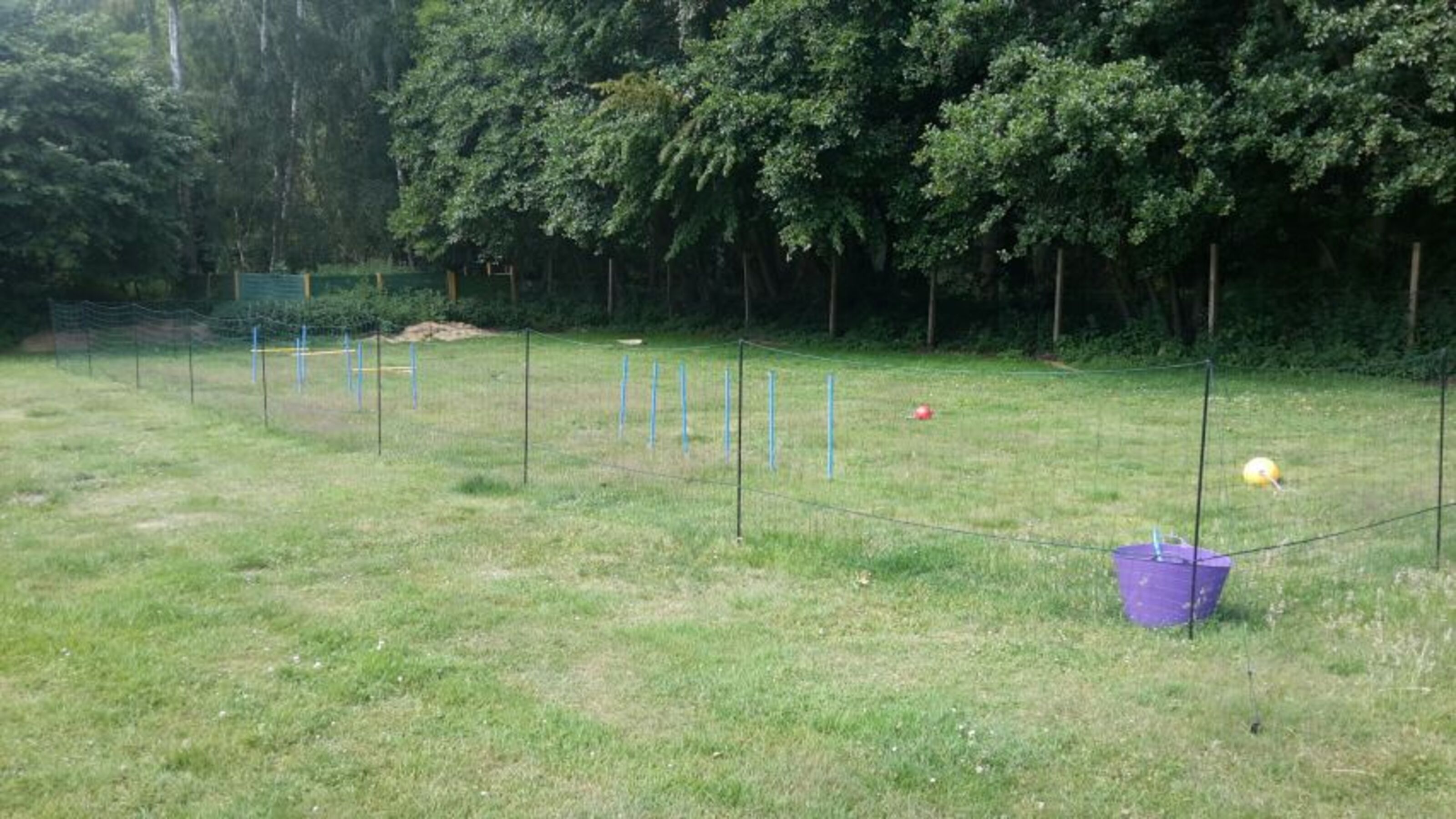Unser Hundespielplatz auf der Anlage