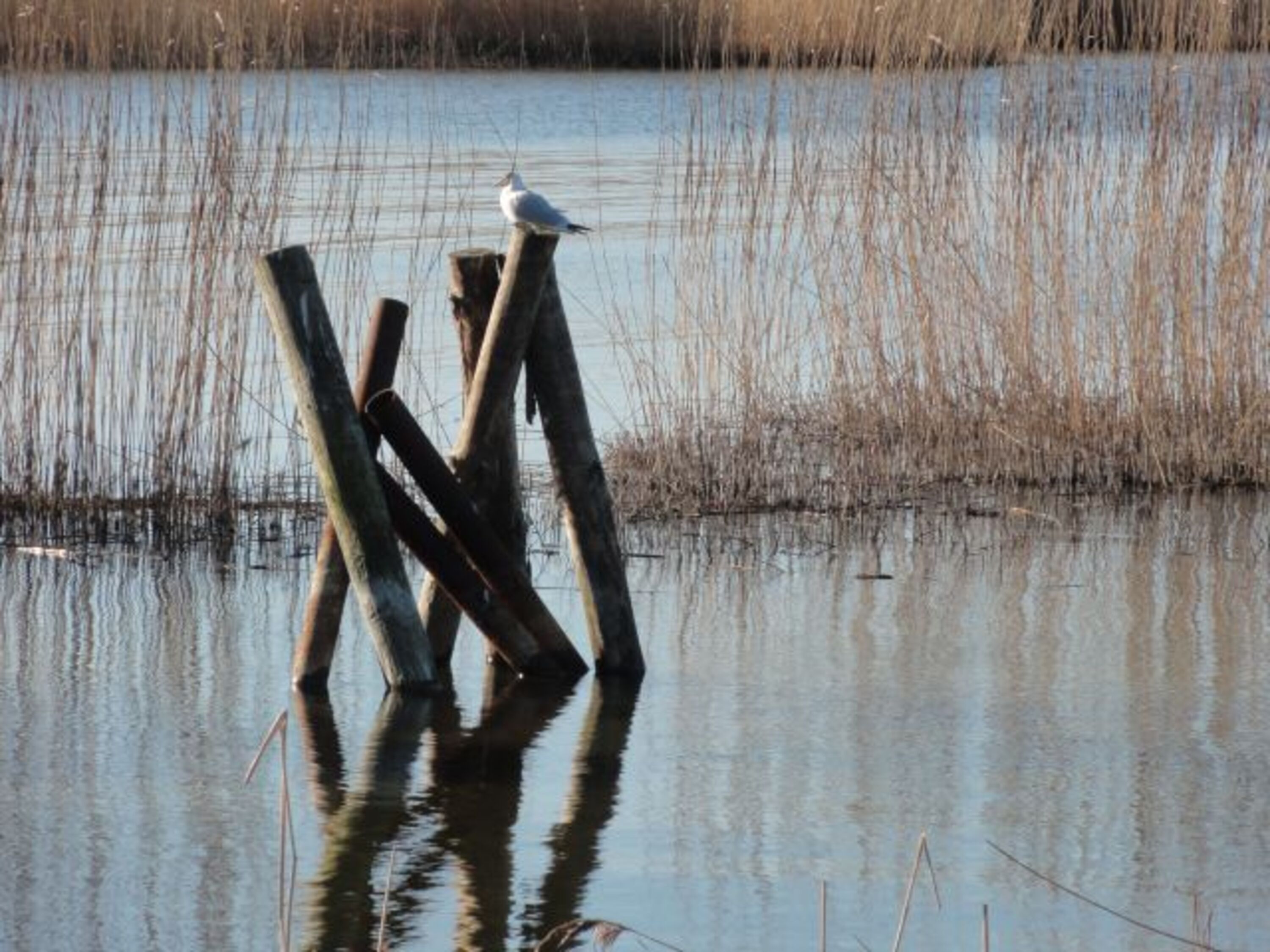 Bild 18