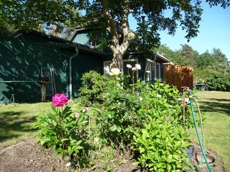Garten mit Blumenbeeten, Obstbäumen und großem Walnussbaum