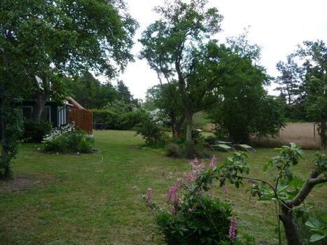 Blick vom Garten auf die Terasse