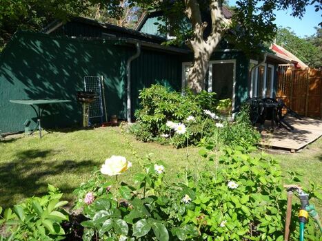 der Wintertgarten im "Kleinen Paradies" überschattet vom Walnuss