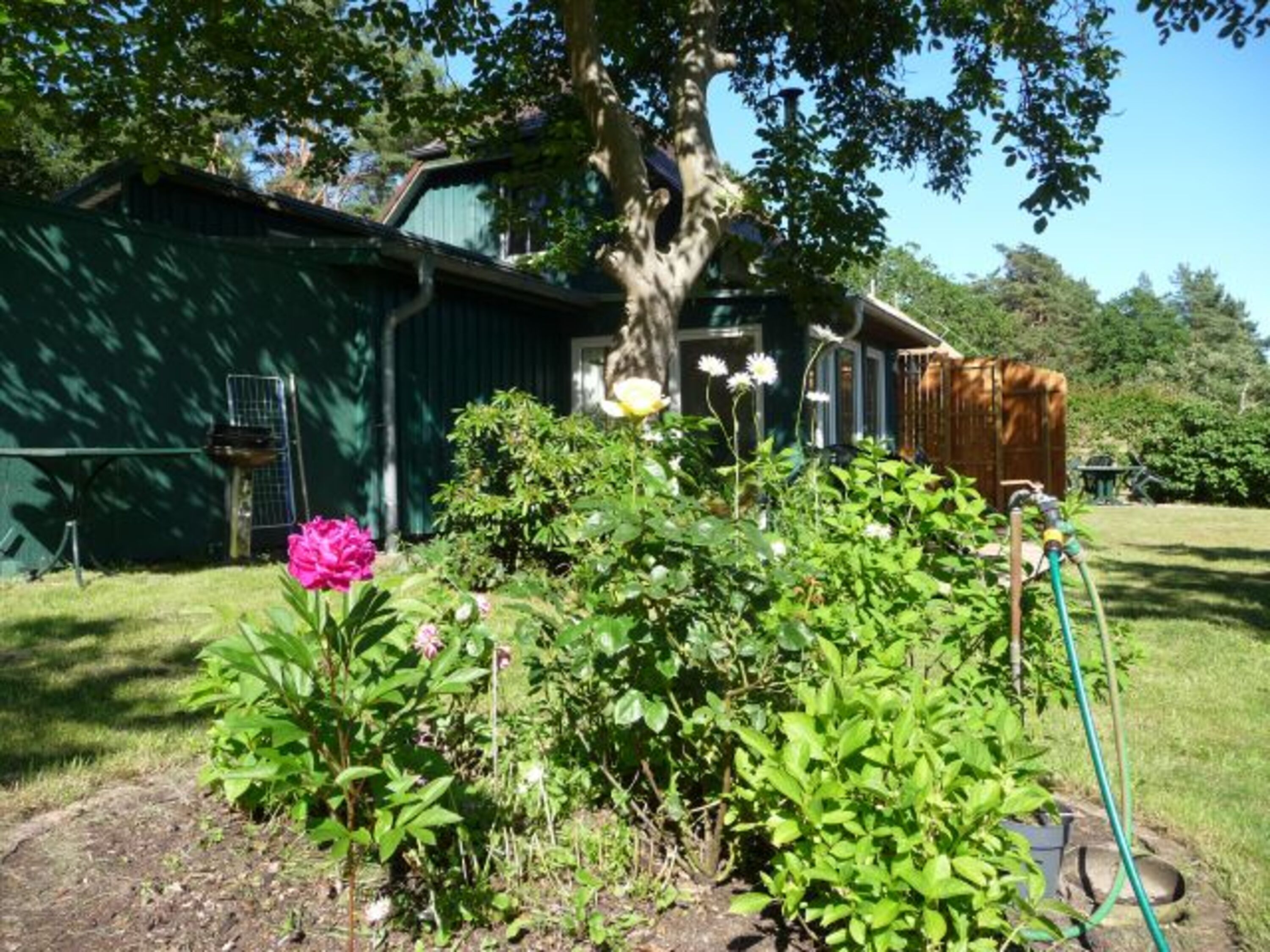 Garten mit Blumenbeeten, Obstbäumen und großem Walnussbaum