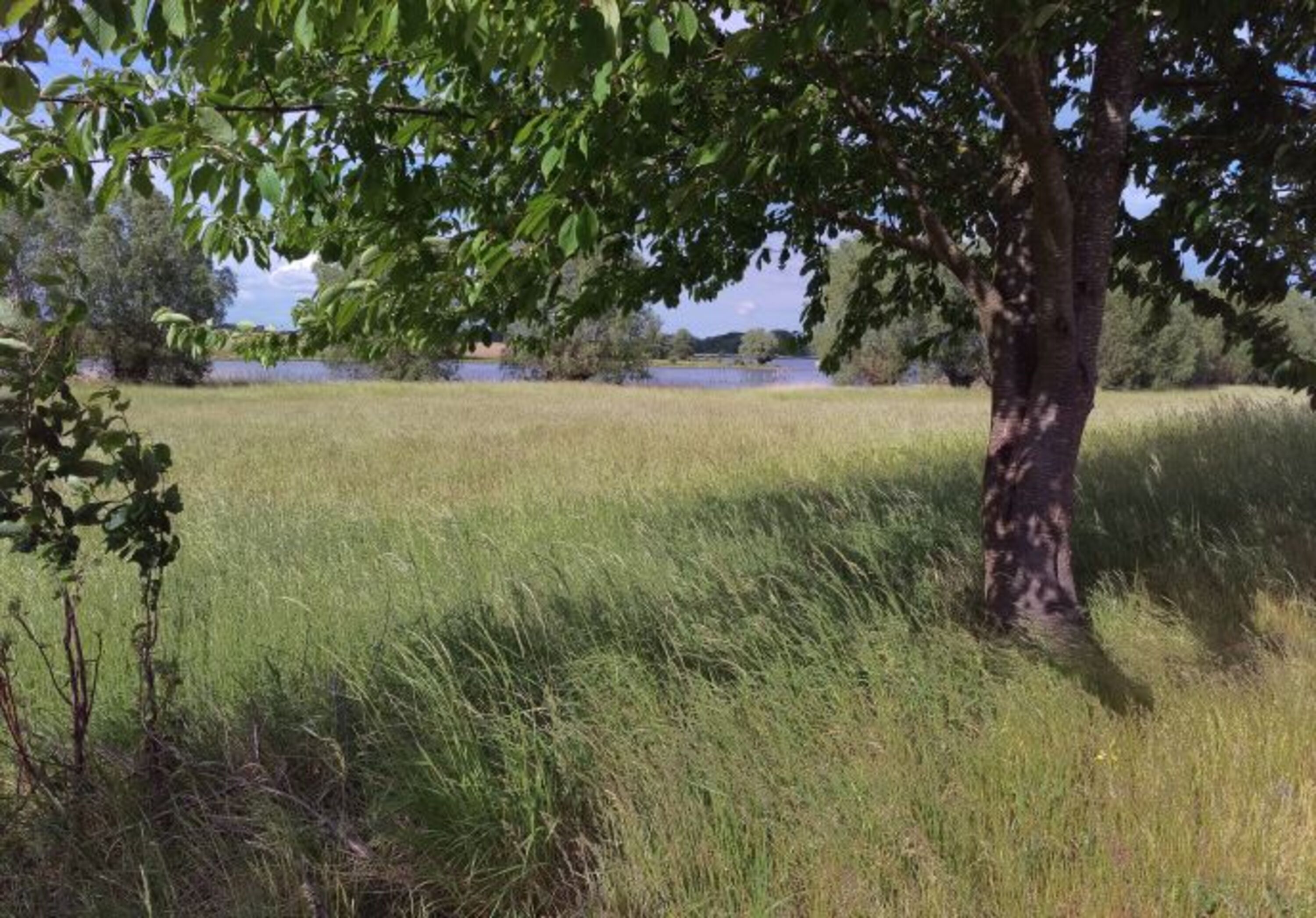 Die Natur genießen