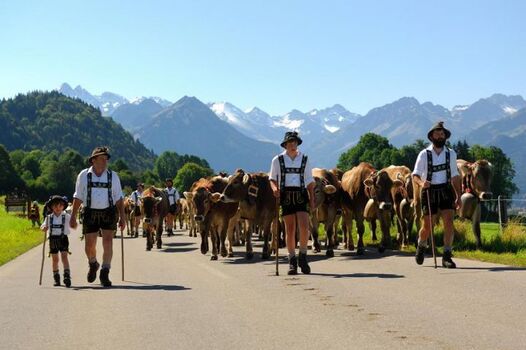 mit dem Viehscheid endet der Bergsommer