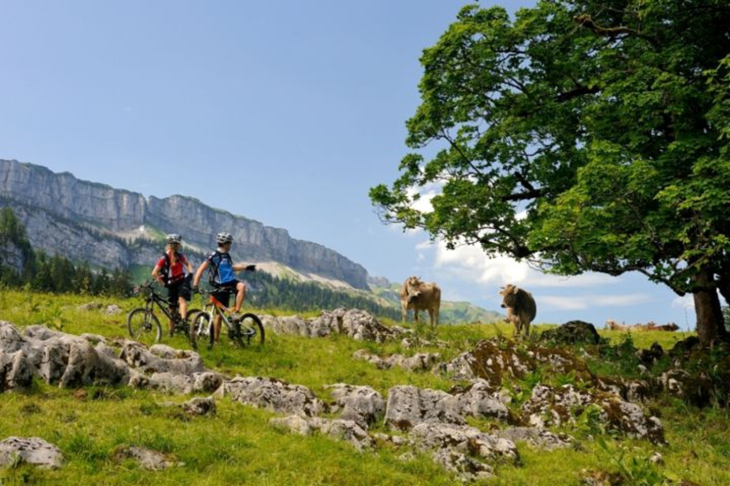 von der Haustür geht es ins Rohrmooser Tal