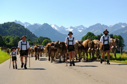 mit dem Viehscheid endet der Bergsommer