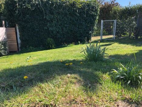 Garten komplett eingezäunt