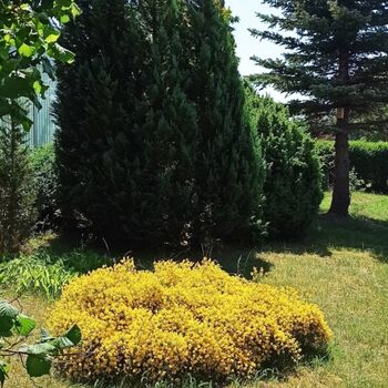 Impessionen aus dem Garten