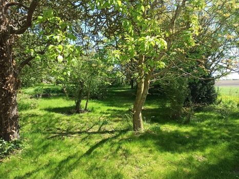 Impessionen aus dem Garten