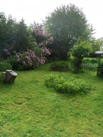 Impessionen aus dem Garten