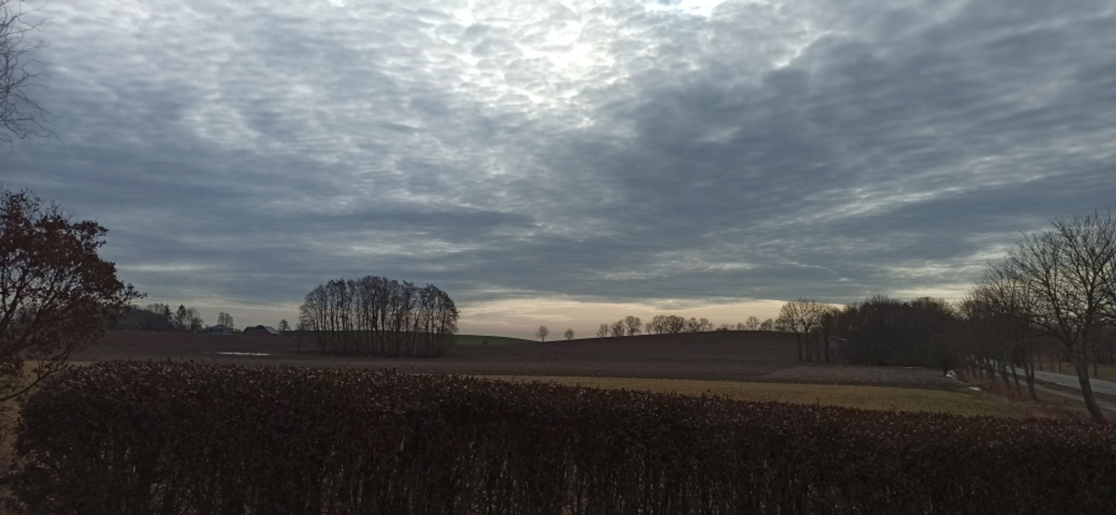 Wintergartenblick