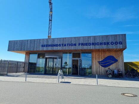 Die Seehundstation ist fußläufig zu erreichen und immer einen Besuch wert