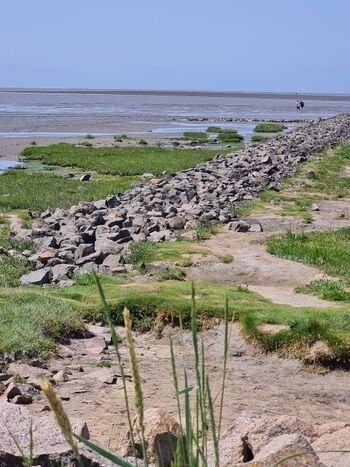 Blick aufs Watt, einfach schön