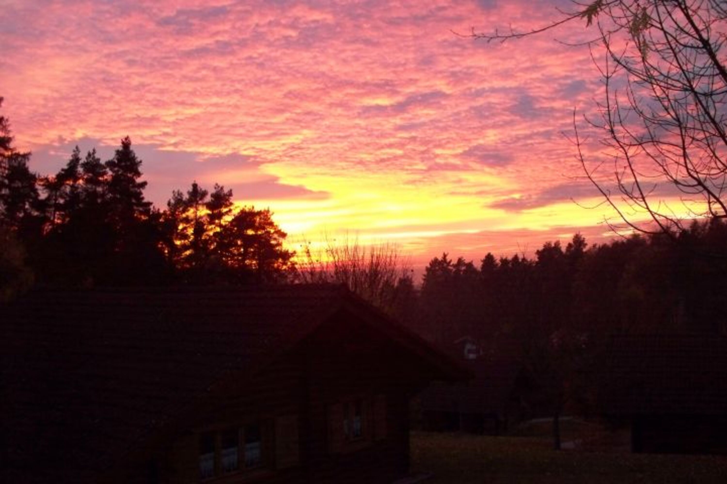 Bild 19