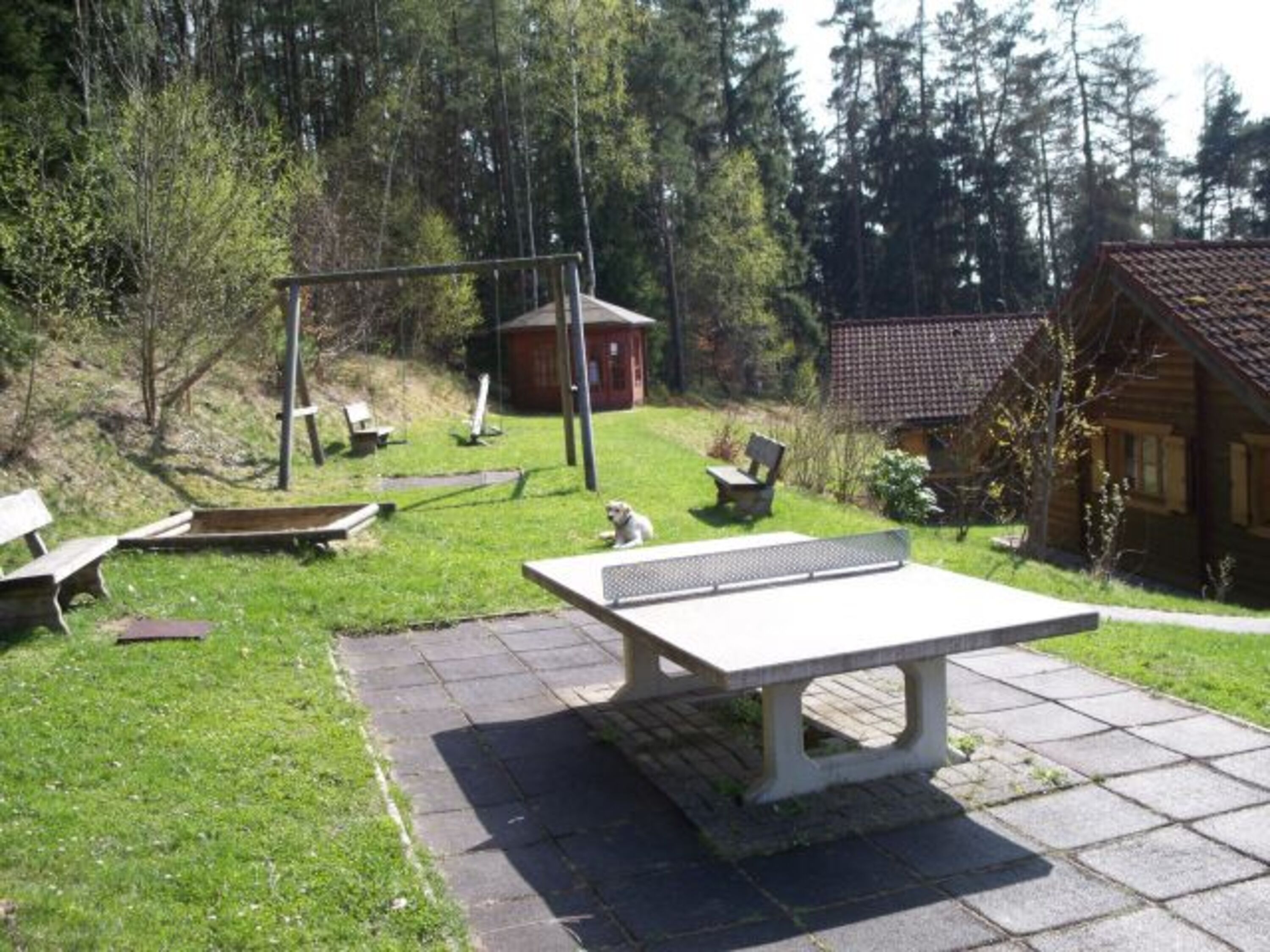 Bild 17