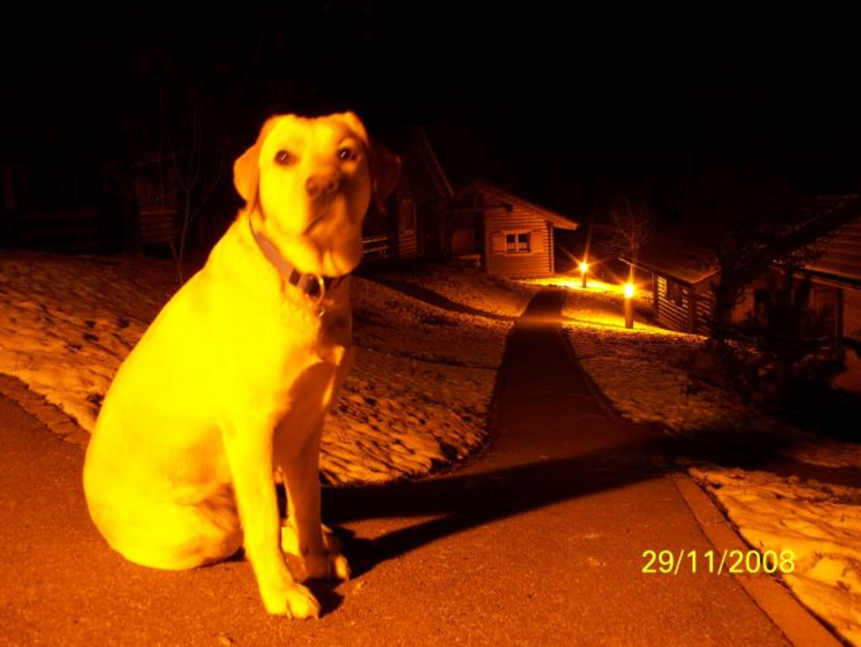 Bild 22