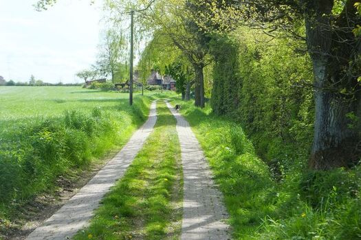 Feldweg am Haus