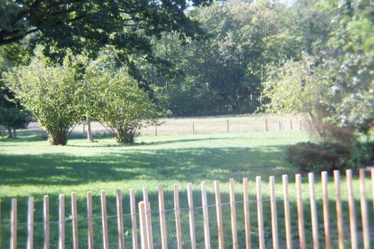 eingezäunter Garten zur alleinigen Nutzung