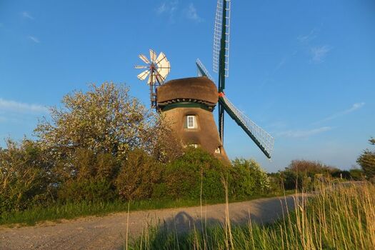 Mühle Charlotte Geltinger Birk
