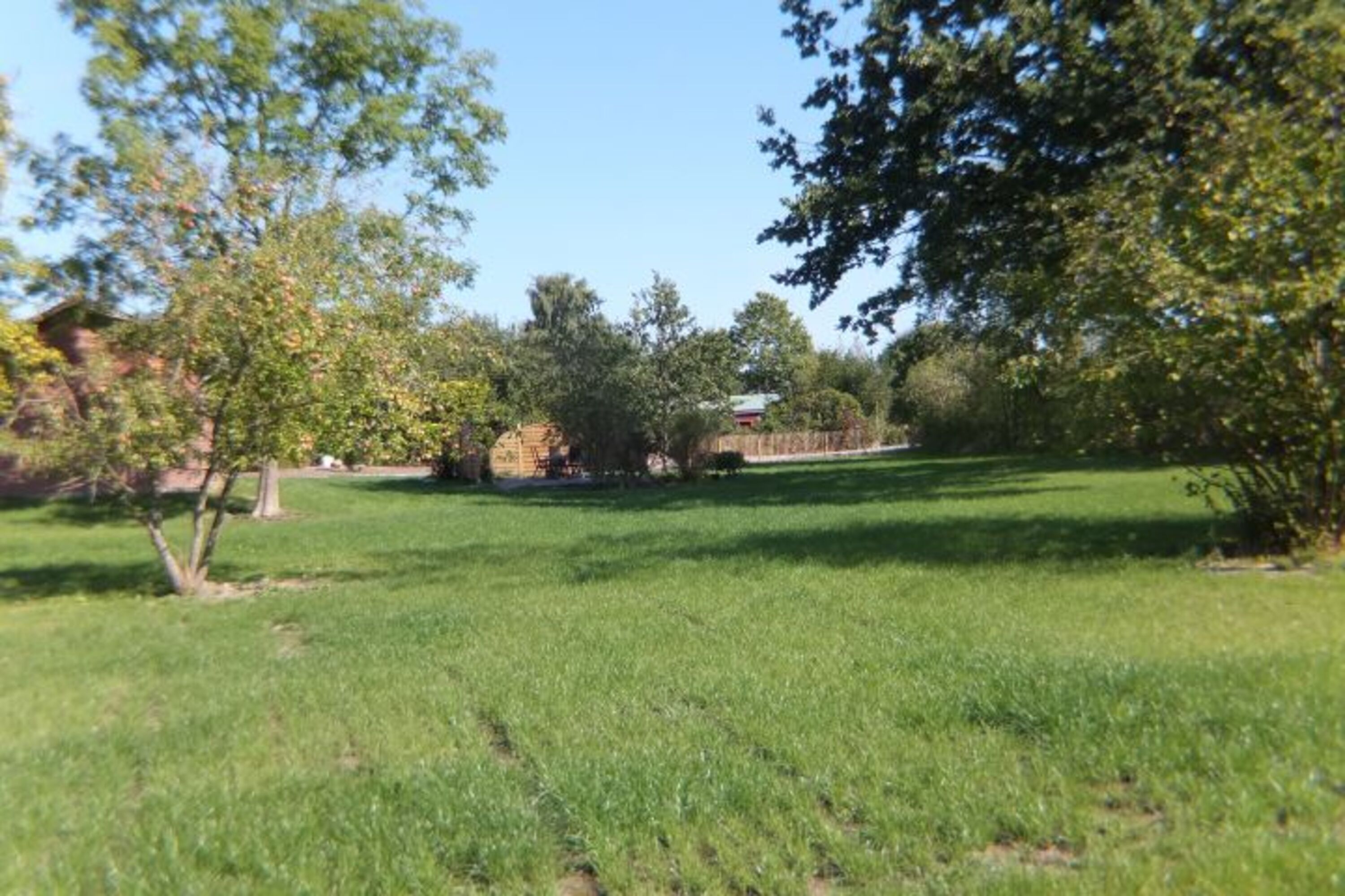 2.000 m² eingezäunter Garten nur für die Hunde der großen Waldkate