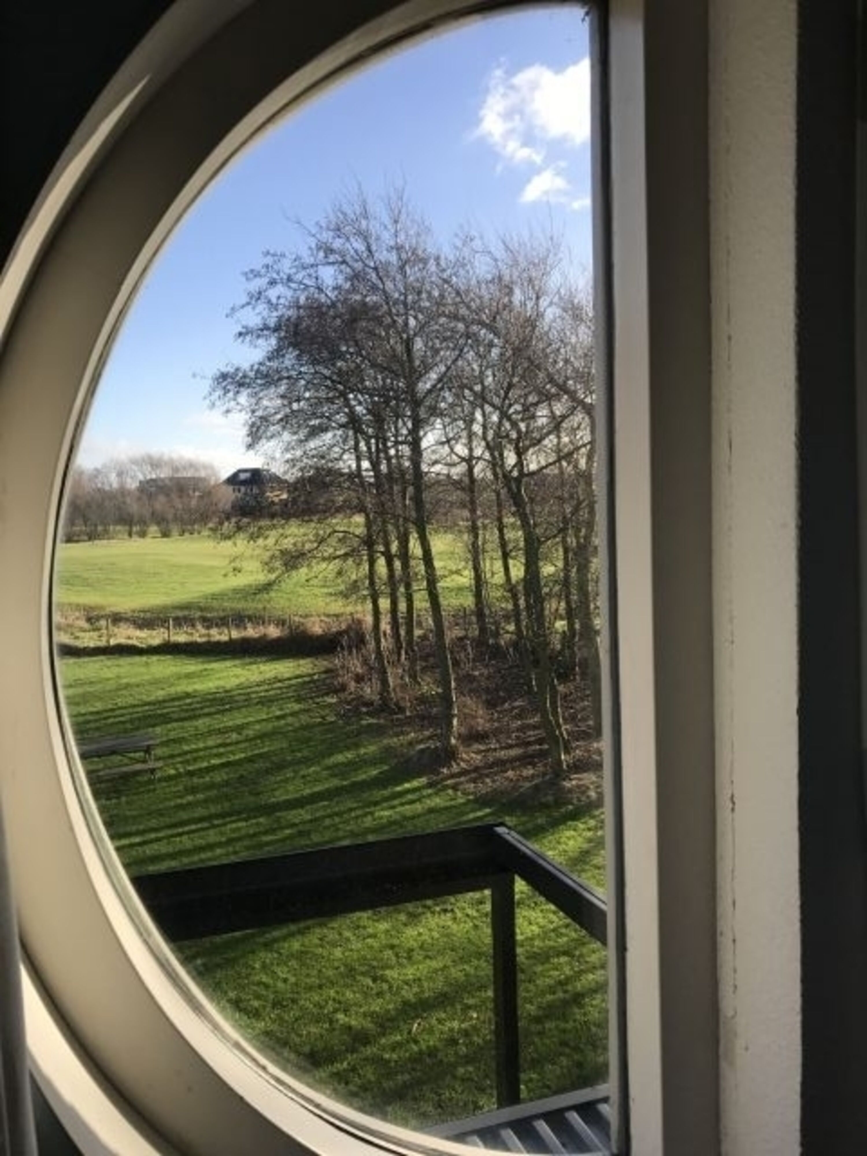 Aussicht in den Garten