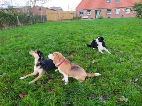 Viel Platz zum Toben, nur für uns, im Garten der kleinen Waldkate