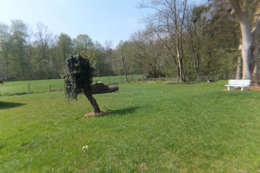 Garten mit Blick auf den Wald