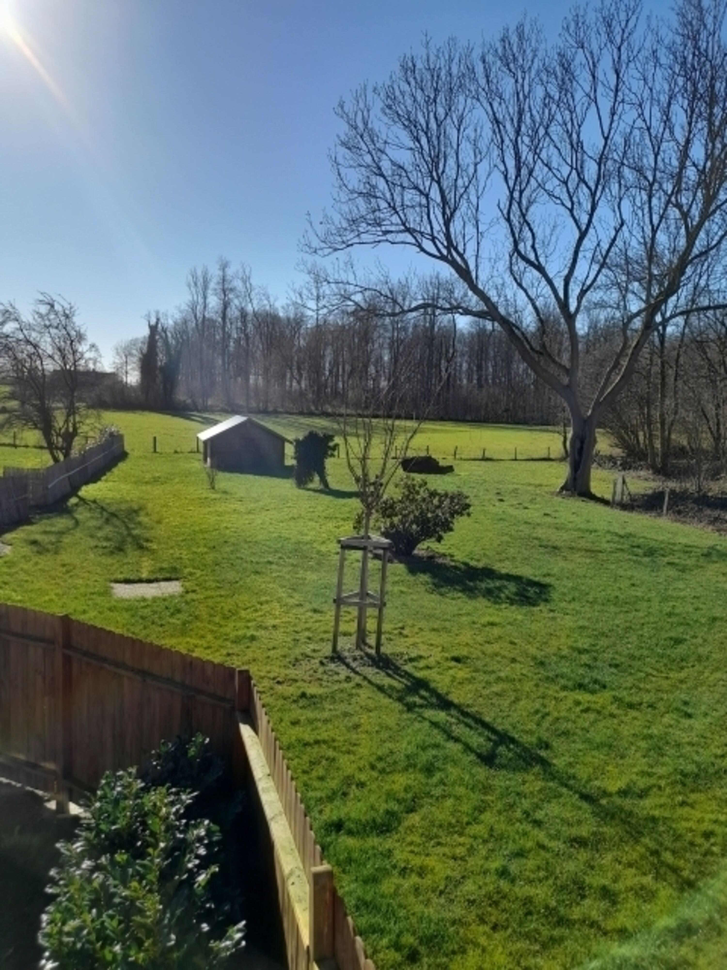 Blick in den Garten