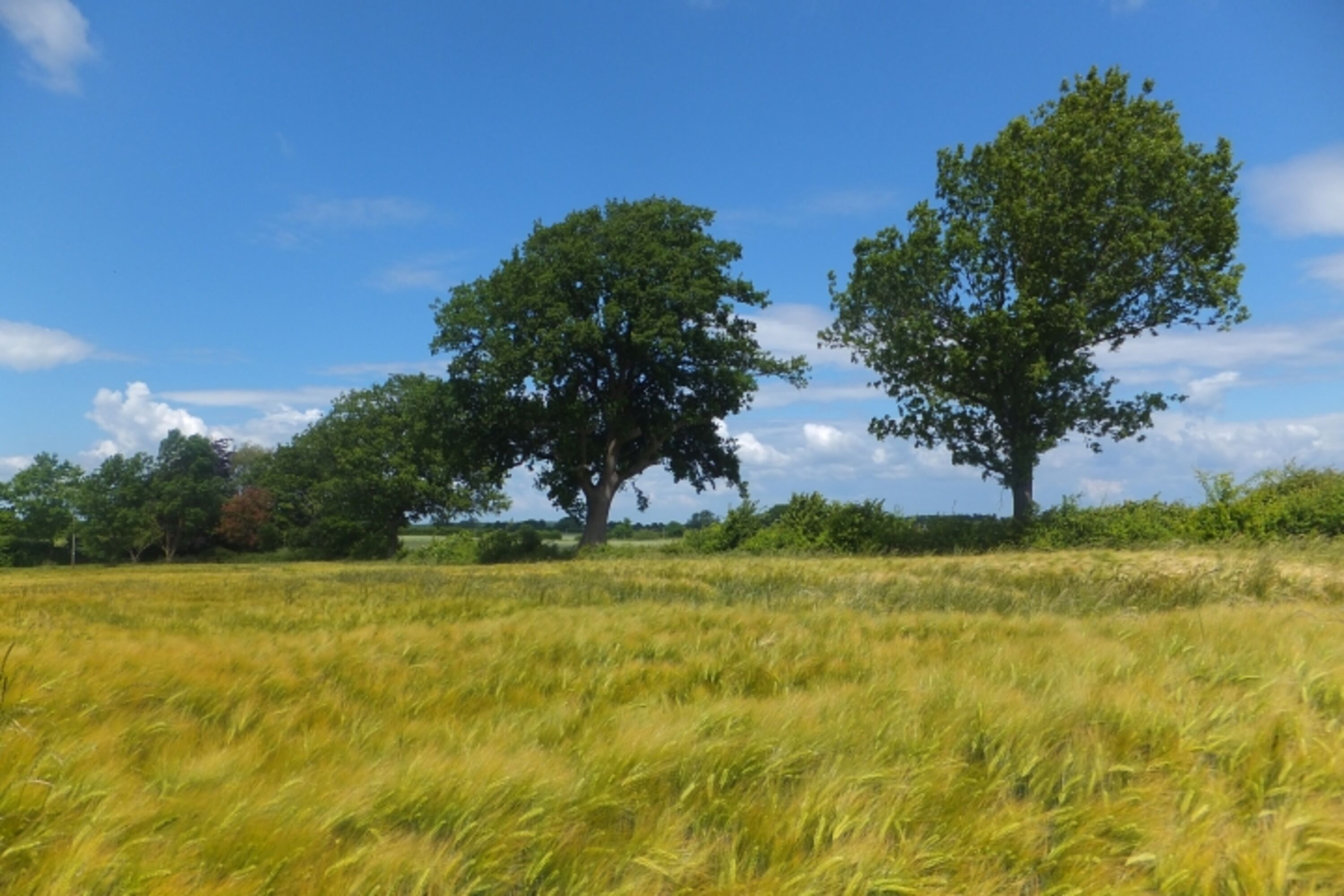 Schöne Landschaft