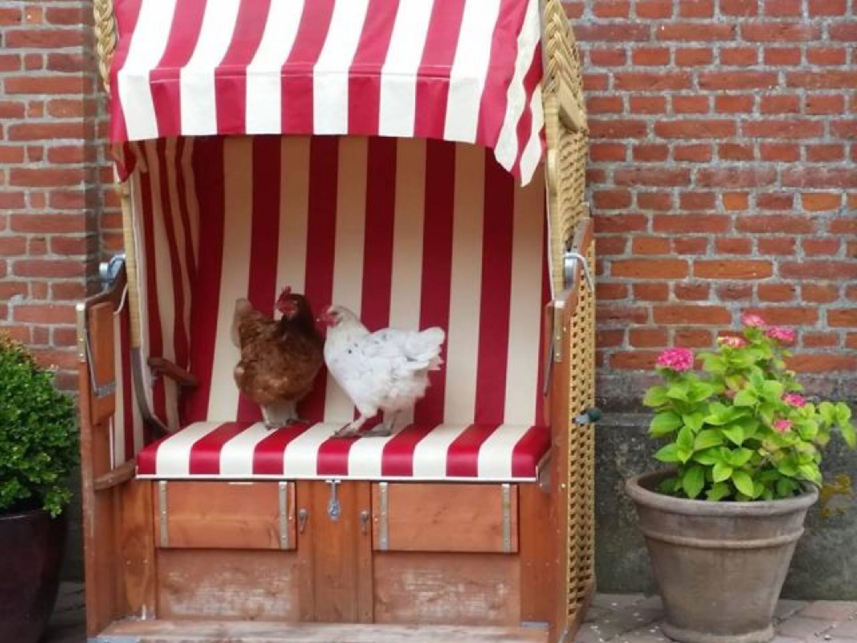 Bild 8