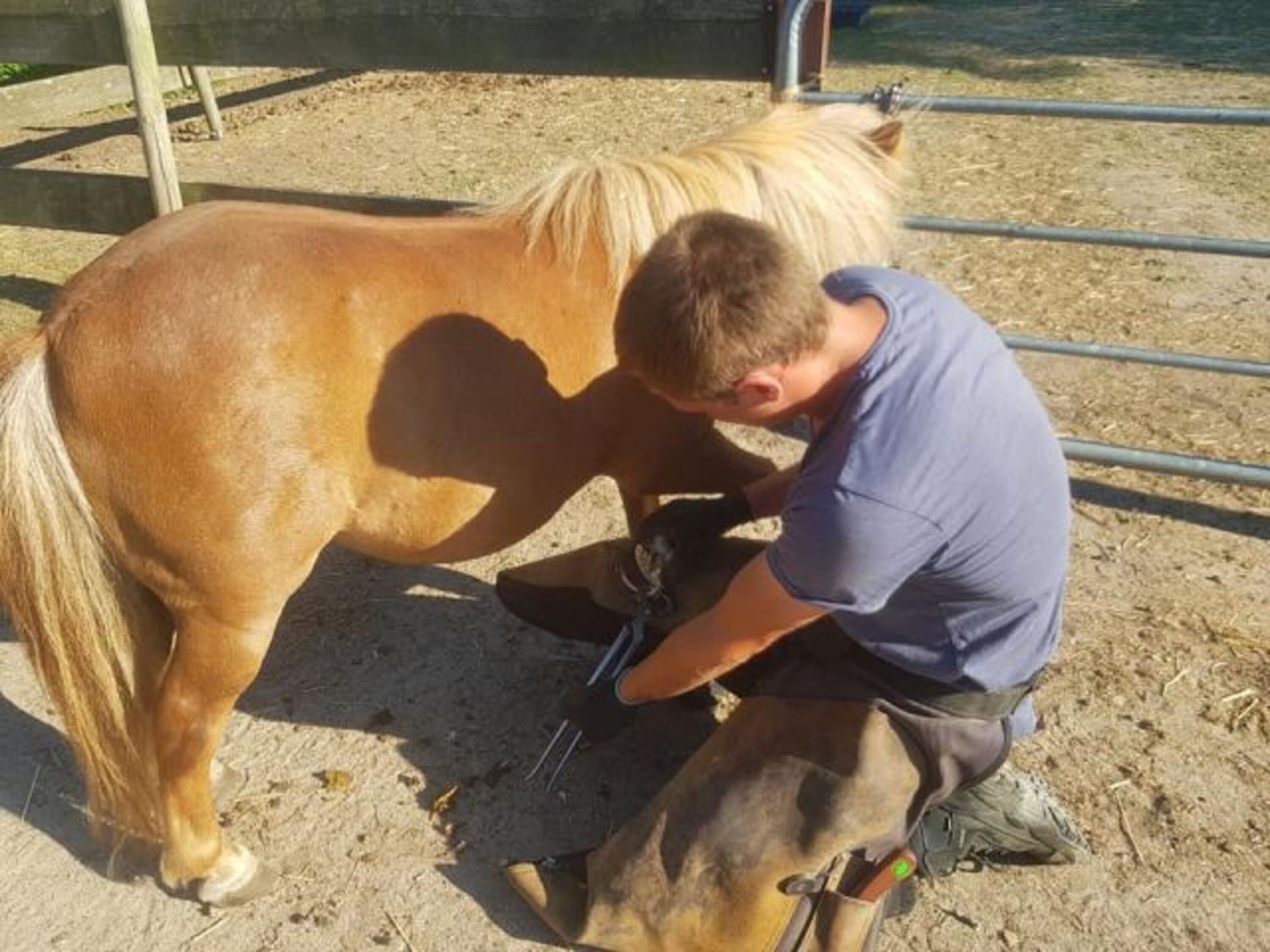 Bild 15