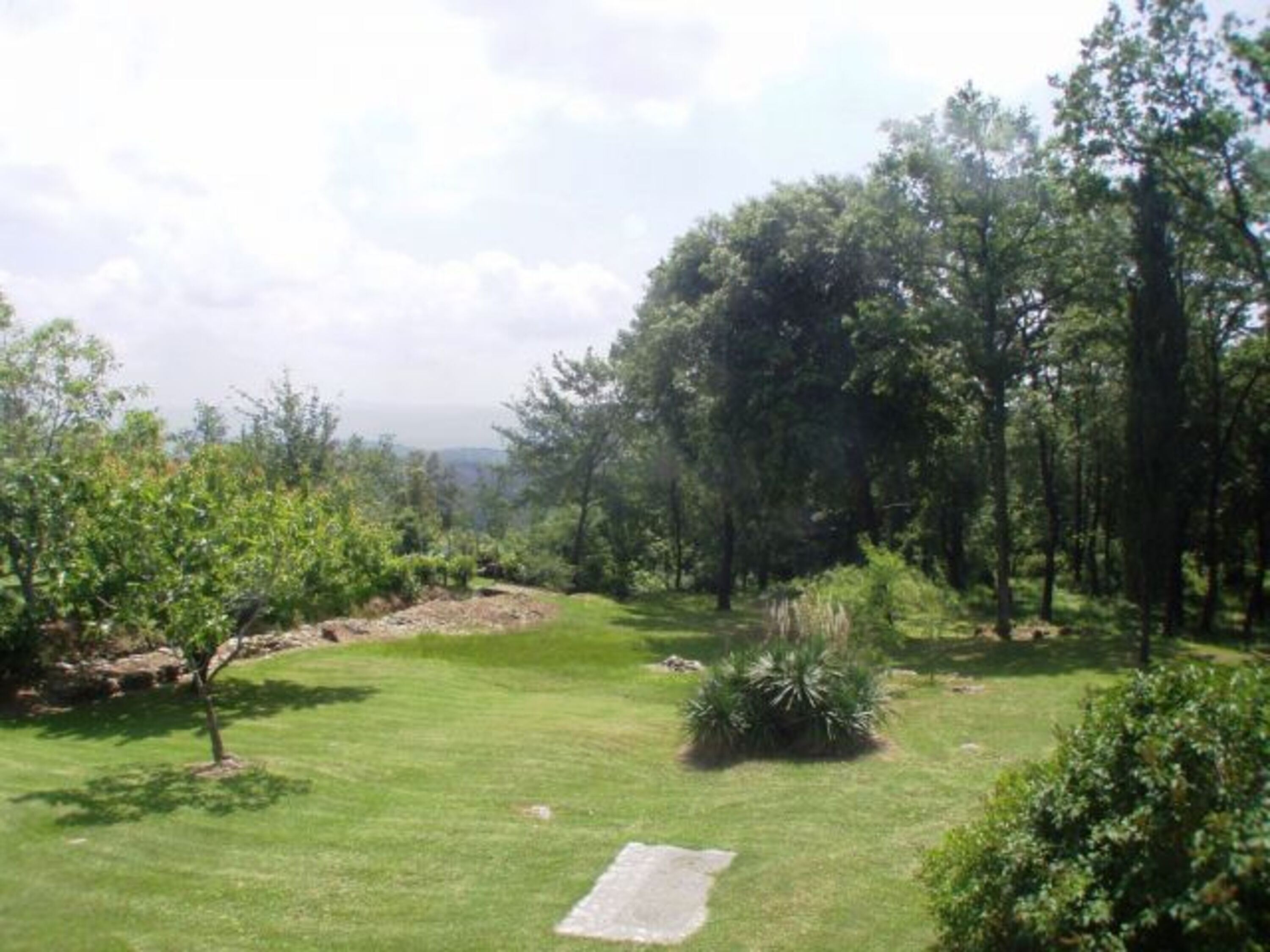 Bild 21