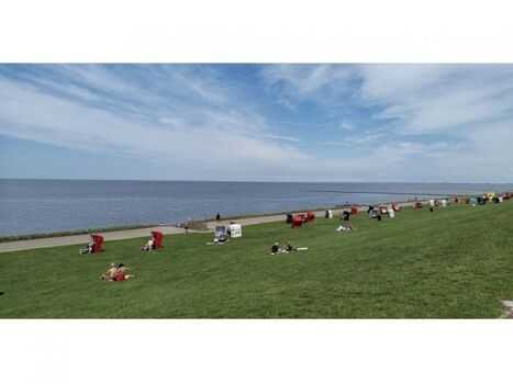 Strand und Hundewiese Friedrichskoog-Spitze