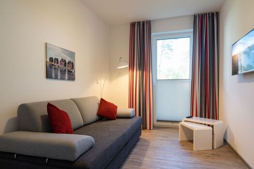 Schlafzimmer mit Schlafcouch und TV