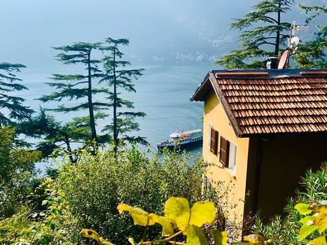 Paradiesgarten beim Ufer vom Comersee: Villa Louisa Appartem ...