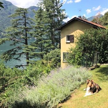 Auch Hunde machen hier schoene ferien