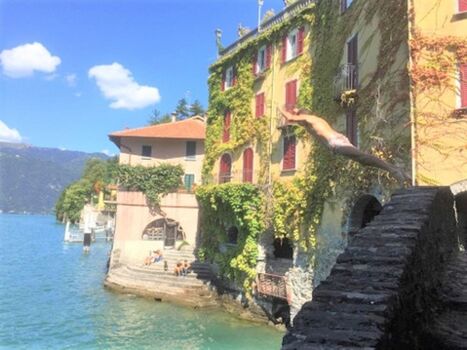 Tauchen und schwimmen bei der Bruecke am Ufer