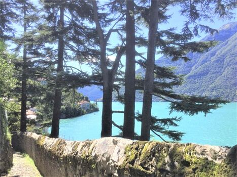 Das Uralte Pfad vor dem Haus fuehrt zum Ufer vom See