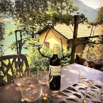 Esstisch unter dem Oliven Baum