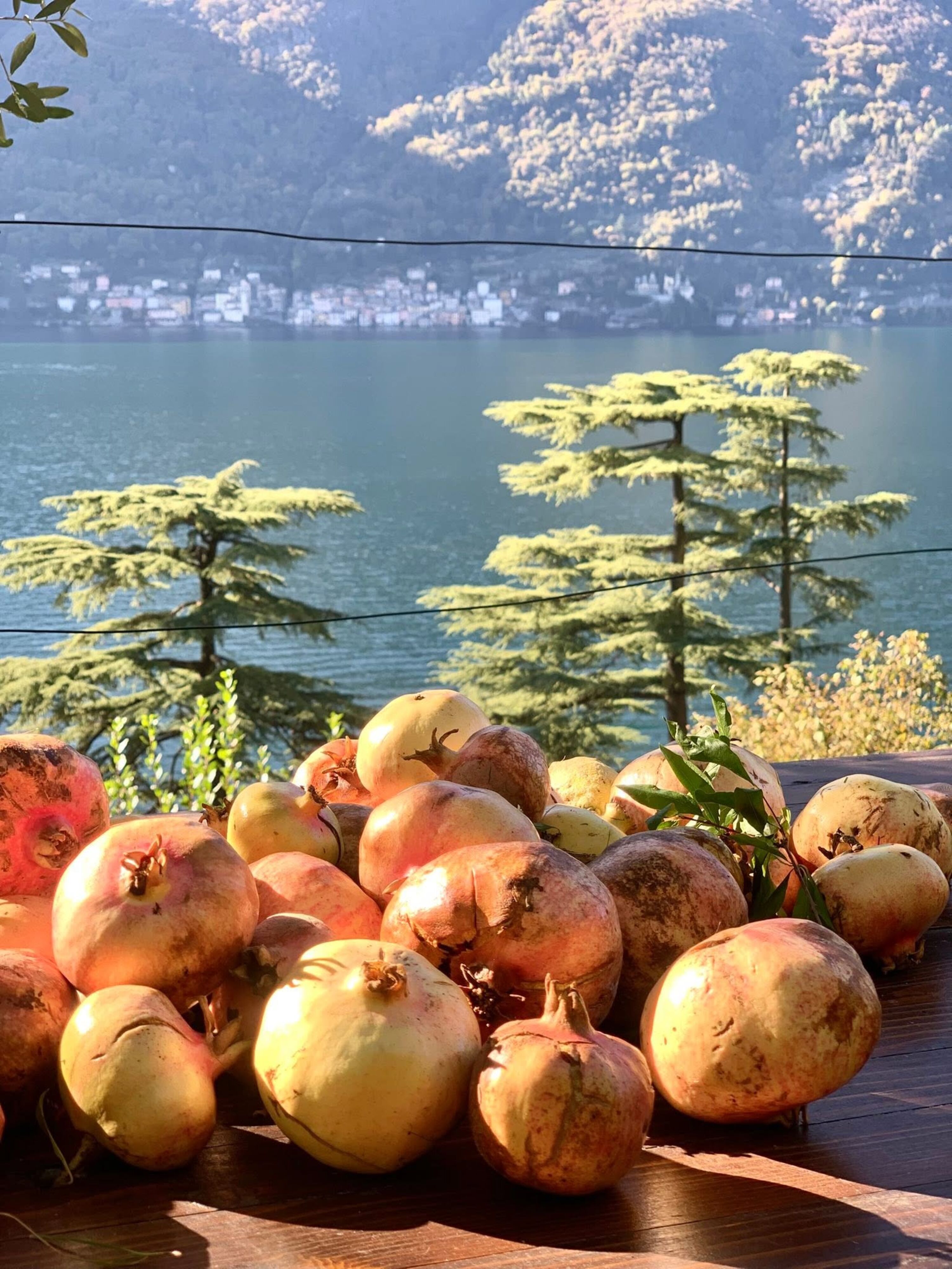 Granatapfel