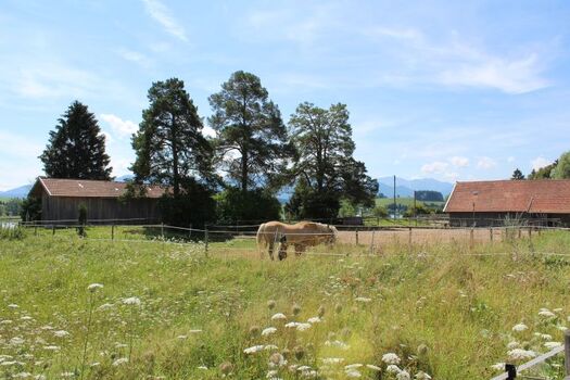 Idylle direkt beim Feriendorf Via Claudia