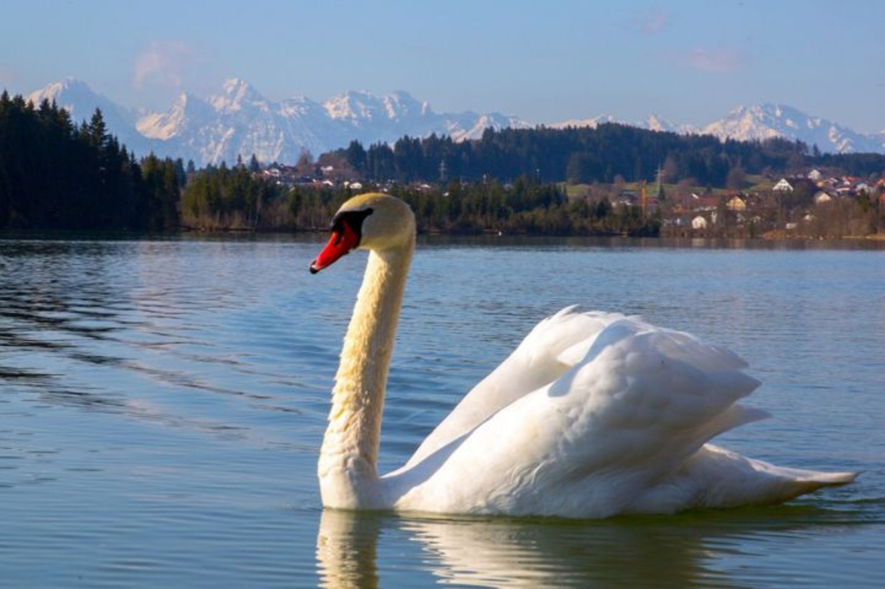 ... Lechbruck am See ... ohne Wort ...