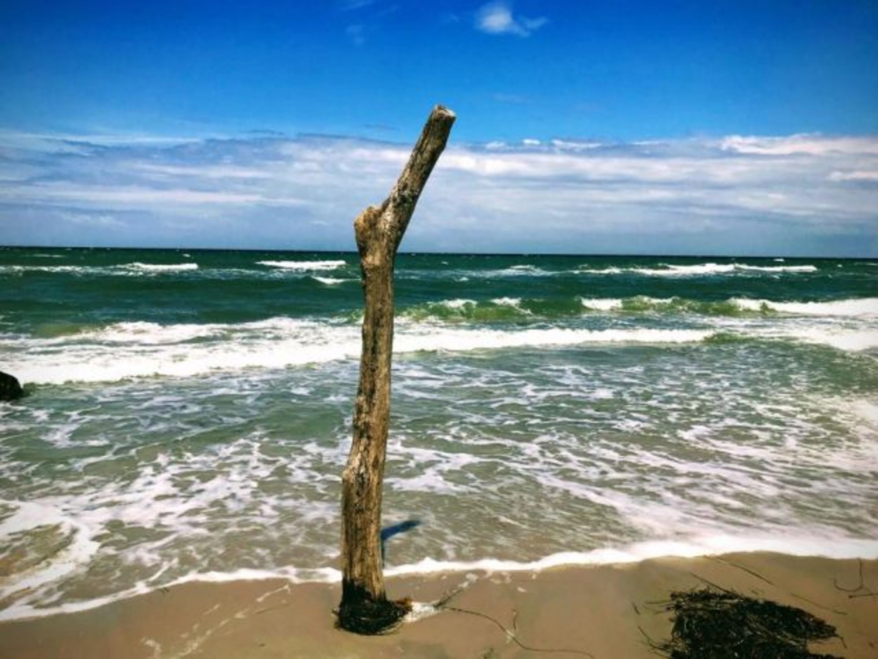 schönes Foto vom Nordstrand