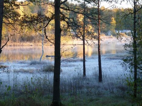 Blick vom Haus aus früh am Morgen