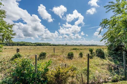 Aussicht auf Naturschutzgebiet