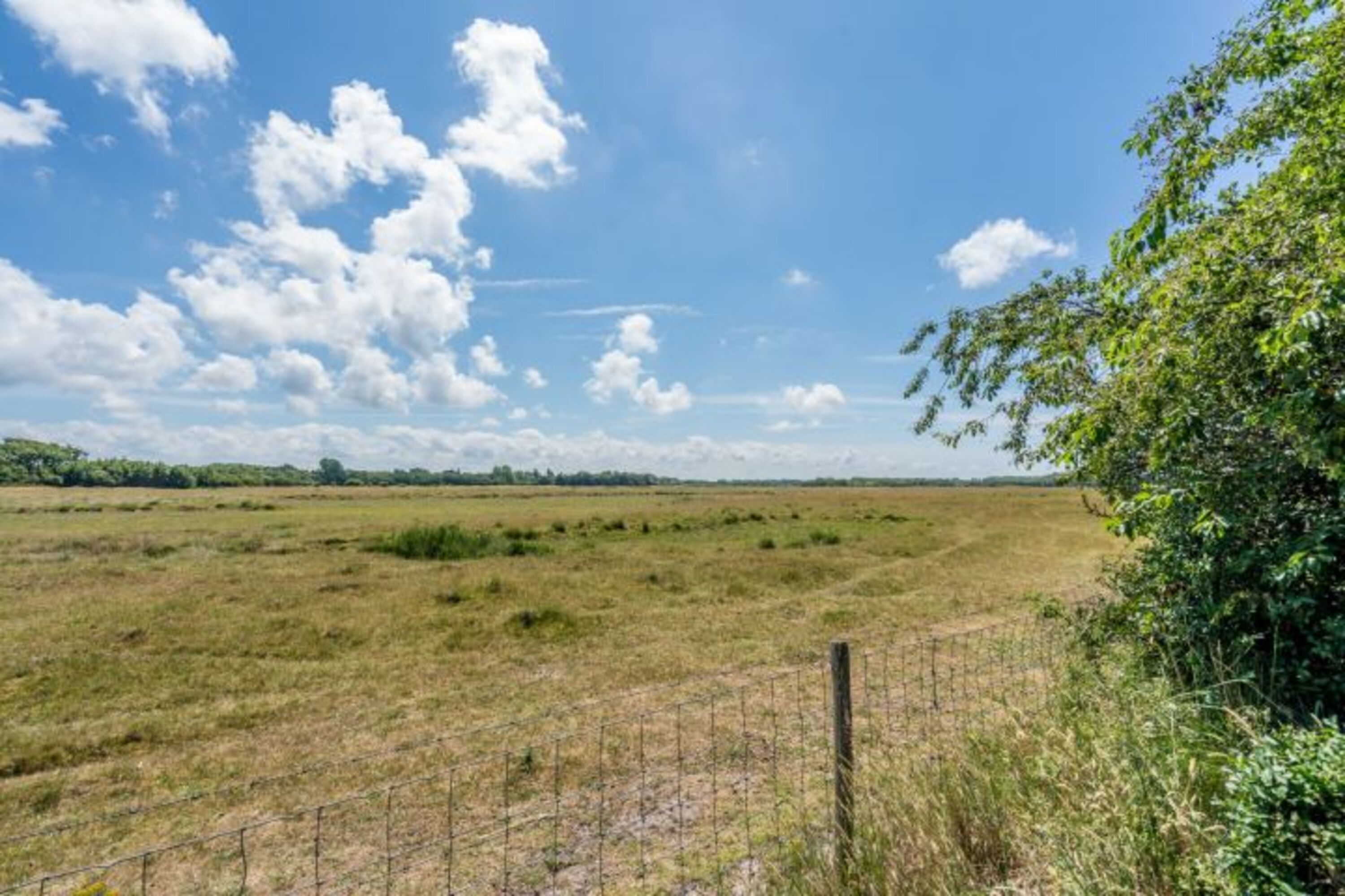 Aussicht auf Naturschutzgebiet