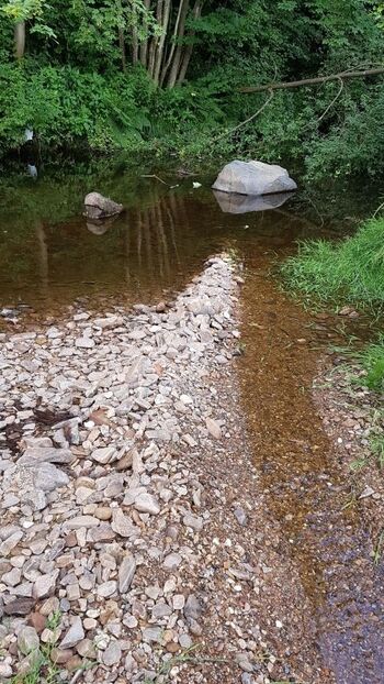 Traunbach im Dorf- prima zum Abkühlen