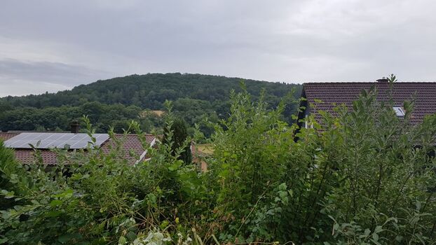 Ausblick von der Terrasse