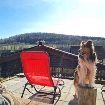 Sonnenterrasse mit Liegen