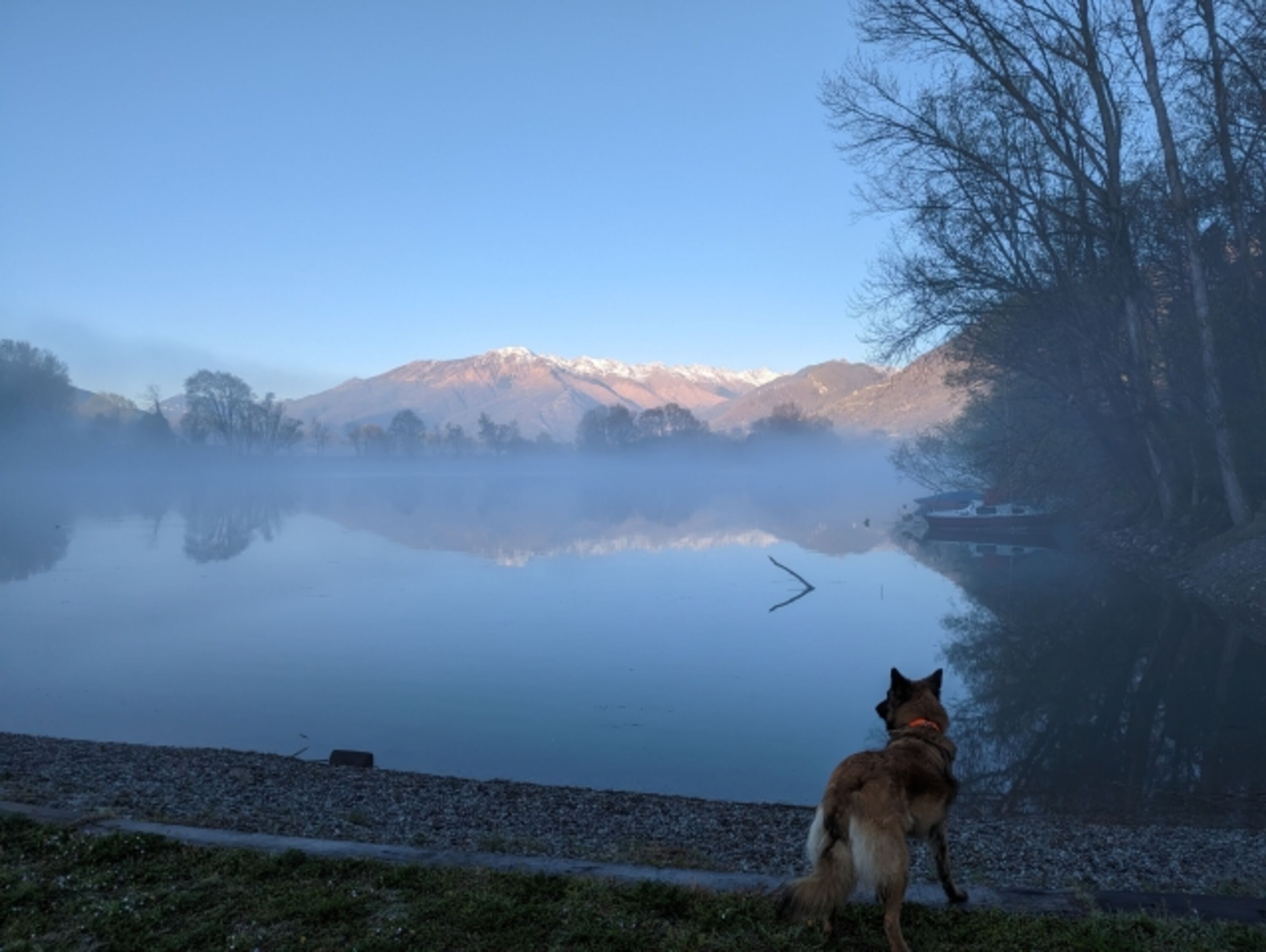 Hunde willkommen